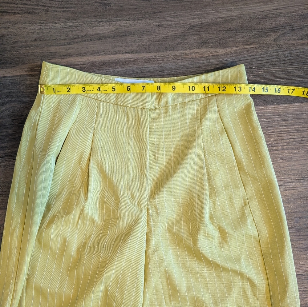 Arrange Striped Barrel Pants - Picture 8 of 12